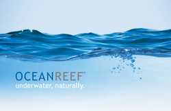 OCEAN REEF